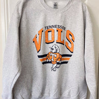 College Mascot Crewnecks